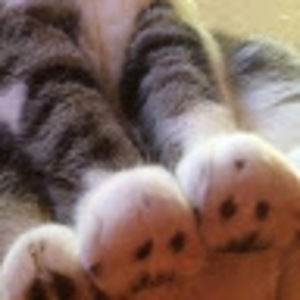 Meet your Posher, Alelelexis